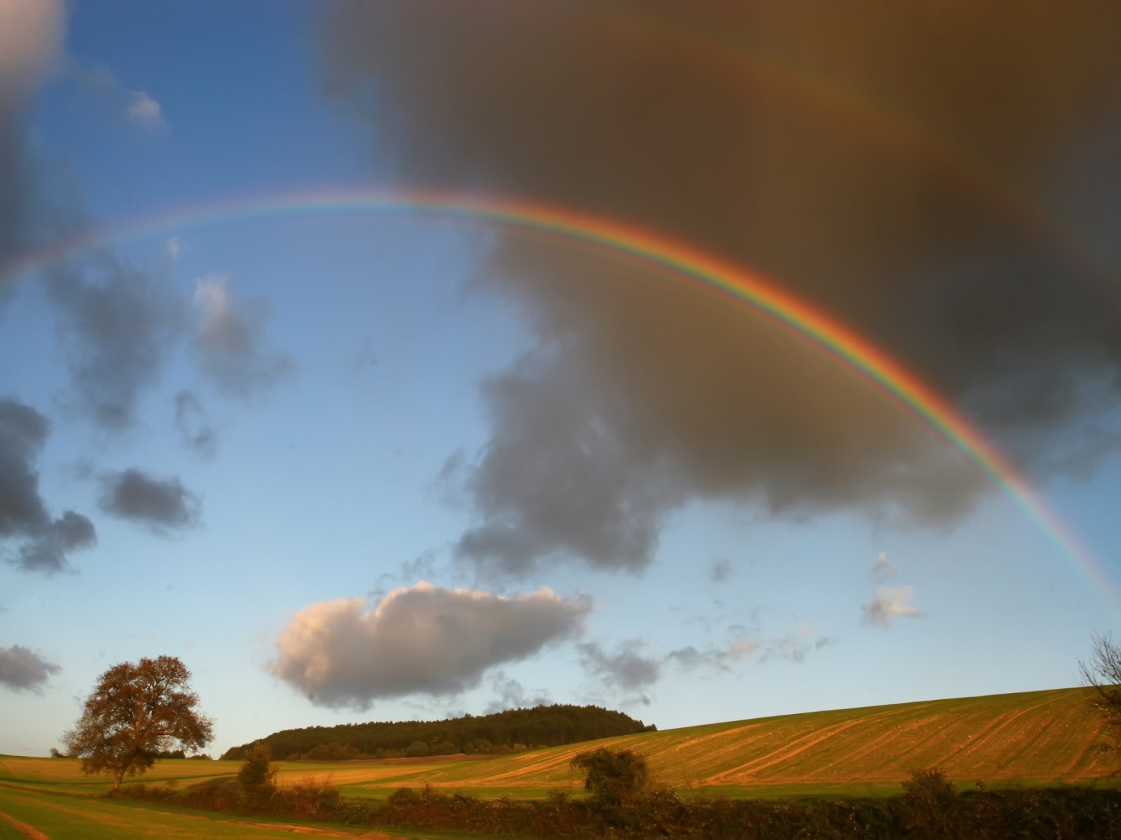 Rainbow_over_the_fields_1600_x_1200